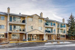 Photo 1: 305 2144 Paliswood Road SW in Calgary: Palliser Apartment for sale : MLS®# A2099273