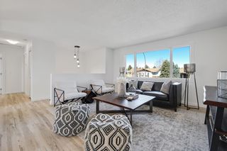 Photo 6: 207 Queen Anne Place SE in Calgary: Queensland Detached for sale : MLS®# A1093747