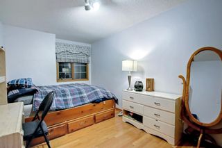 Photo 29: 58 Applecrest Place SE in Calgary: Applewood Park Detached for sale : MLS®# A1188820