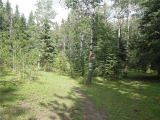 Photo 9: 2 miles west of Dartique Hall in COCHRANE: Rural Rocky View MD Rural Land for sale : MLS®# C3545361