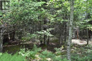 Photo 46: Lot 2 Blue Rocks Road in Garden Lots: Vacant Land for sale : MLS®# 202311970