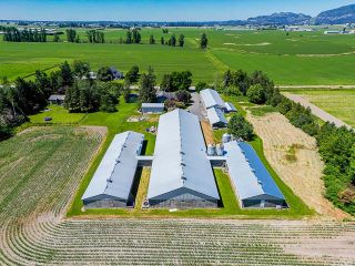 Photo 32: 1160 MARION Road in Abbotsford: Sumas Prairie Agri-Business for sale : MLS®# C8045490