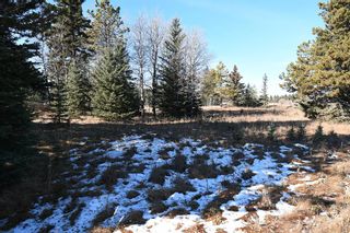 Photo 29: 20.02 Acres +/- NW of Cochrane in Rural Rocky View County: Rural Rocky View MD Land for sale : MLS®# A1065950