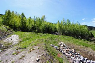 Photo 14: Lot 3 Rose Crescent: Eagle Bay Land Only for sale (South Shuswap)  : MLS®# 10204142