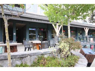 Photo 1: 7013 NESTERS Road in Whistler: Nesters Business for sale : MLS®# V4040303