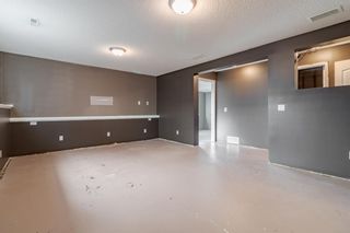 Photo 23: 266 Silver Springs Way NW: Airdrie Detached for sale : MLS®# A1181497
