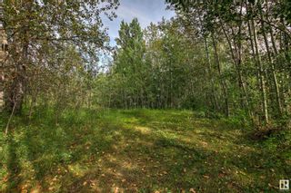 Photo 44: 53101 C RGE RD 15: Rural Parkland County House for sale : MLS®# E4312578