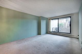 Photo 14: 313 9800 Horton Road SW in Calgary: Haysboro Apartment for sale : MLS®# A2006085