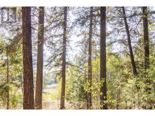 Photo 11: LOT 3 RAINBOW DRIVE in Canim Lake: Vacant Land for sale : MLS®# R2818619