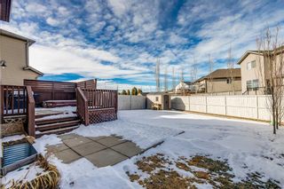 Photo 30: 18 Morningside Landing SW: Airdrie Detached for sale : MLS®# A2109366