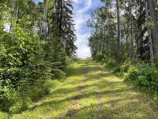 Photo 26: DL 1132 TELKWA HIGH Road in Smithers: Smithers - Rural Land for sale (Smithers And Area)  : MLS®# R2708512