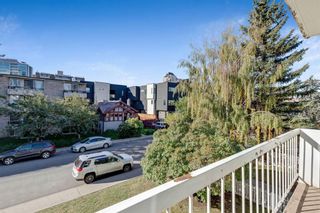Photo 15: 301 126 24 Avenue SW in Calgary: Mission Apartment for sale : MLS®# A1203016