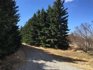 Photo 16: 32182 TWP RD 262 in Rural Rockyview County: Rural Rocky View MD House for sale : MLS®# C4006884