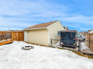 Photo 27: 181 CRANBERRY Close SE in Calgary: Cranston House for sale : MLS®# C4178051