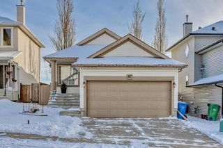 Photo 1: 87 Evansmeade Crescent NW in Calgary: Evanston Detached for sale : MLS®# A2013812