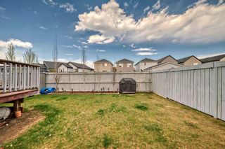 Photo 47: 1589 Copperfield Boulevard SE in Calgary: Copperfield Detached for sale : MLS®# A2131890