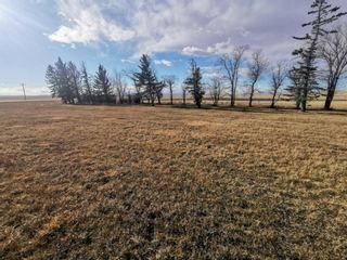 Photo 14: For Sale: 35062 Hwy 5, Cardston, T0K 0K0 - A1162232