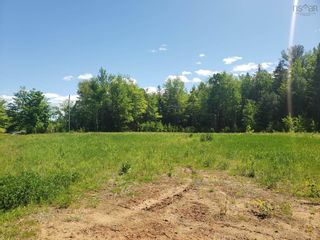Photo 11: 4997 Brooklyn Street in Grafton: Kings County Farm for sale (Annapolis Valley)  : MLS®# 202212500