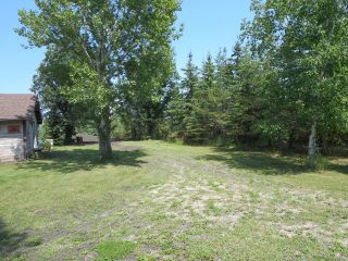 Photo 10: 0 Hay Road: Gonor Residential for sale (R02)  : MLS®# 202311966