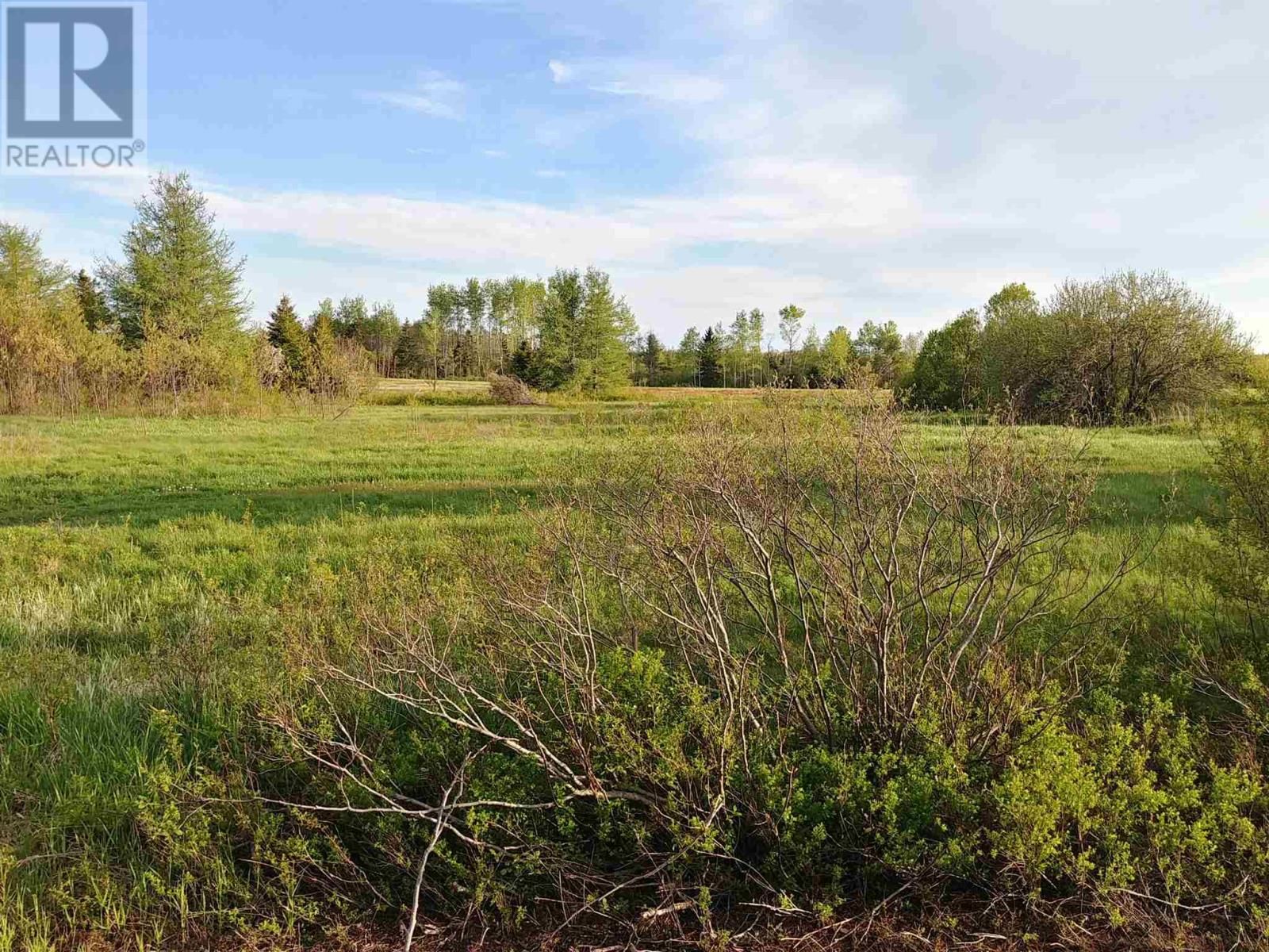 Main Photo: Route 2 in Fortune Bridge: Vacant Land for sale : MLS®# 202113690