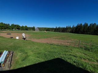 Photo 9: 135 Bennetts Bay Road in Arlington: Kings County Residential for sale (Annapolis Valley)  : MLS®# 202412343