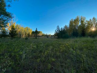 Photo 19: BLOCK D DL7872 TAKLA FOREST Road in Prince George: Reid Lake Land for sale in "McPhee Road" (PG Rural North)  : MLS®# R2768066