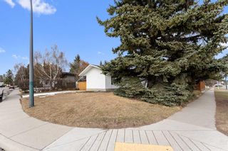 Photo 5: 2612 66 Avenue SW in Calgary: Lakeview Detached for sale : MLS®# A2119029