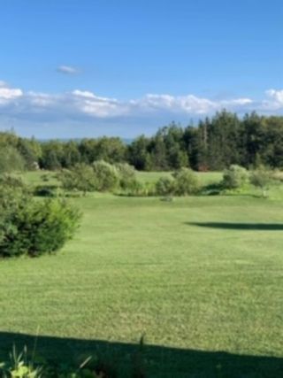 Photo 3: 1920 Brow of Mountain Road in Viewmount: 404-Kings County Vacant Land for sale (Annapolis Valley)  : MLS®# 202018212