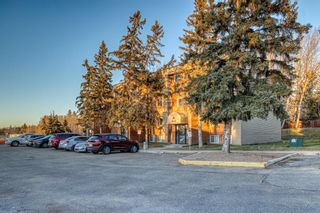 Main Photo: 11 80 Piper Drive: Red Deer Apartment for sale : MLS®# A1162504