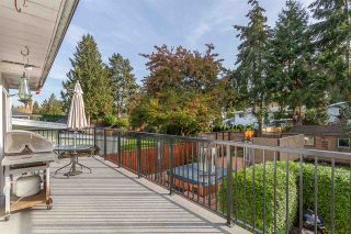 Photo 17: 21616 EXETER AVENUE in Maple Ridge: West Central House for sale : MLS®# R2318244