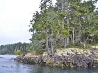 Photo 6: Lot 1 Pearse Island in See Remarks: Isl Small Islands (North Island Area) Land for sale (Islands)  : MLS®# 896145