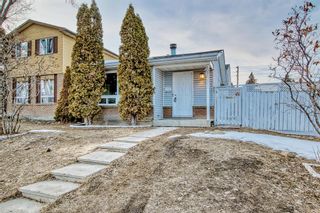 Photo 38: 107 Erin Woods Drive SE in Calgary: Erin Woods Detached for sale : MLS®# A2034907