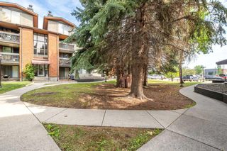 Photo 34: 307B 7301 4A Street SW in Calgary: Kingsland Apartment for sale : MLS®# A2074239