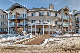 Photo 17: 107 92 Saddletree Court NE in Calgary: Saddle Ridge Apartment for sale : MLS®# A2118184