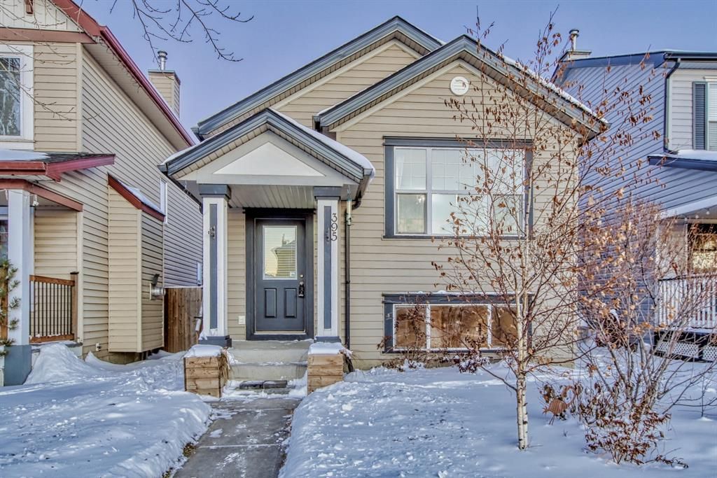 Main Photo: 395 Copperfield Grove SE in Calgary: Copperfield Detached for sale : MLS®# A2009768