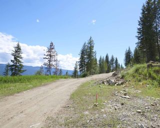 Photo 10: #21 251 Old Salmon Arm Road, in Enderby: Vacant Land for sale : MLS®# 10255517