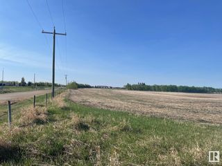 Photo 14: 47066 RR 203: Camrose Vacant Lot/Land for sale : MLS®# E4341327
