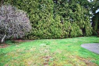 Photo 40: 32555 MURRAY Avenue in Abbotsford: Abbotsford West House for sale : MLS®# R2766401