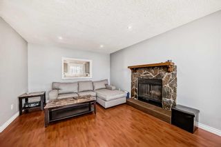 Photo 9: 35 Templemont Drive NE in Calgary: Temple Semi Detached (Half Duplex) for sale : MLS®# A2130143