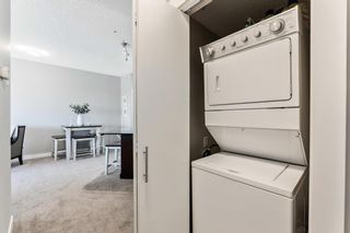 Photo 14: 1317 8710 Horton Road SW in Calgary: Haysboro Apartment for sale : MLS®# A1157213