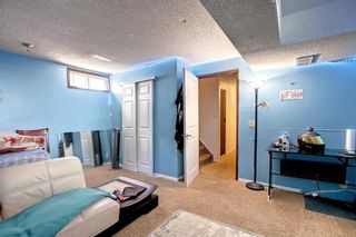 Photo 31: 59 Whitehaven Road in Calgary: Whitehorn Detached for sale : MLS®# A1241321