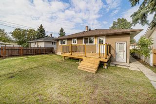 Photo 24: 2622 46 Street SE in Calgary: Forest Lawn Detached for sale : MLS®# A2077960