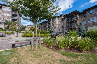 Photo 15: 217 3178 DAYANEE SPRINGS BL in Coquitlam: Westwood Plateau Condo for sale in "DAYANEE SPRINGS BY POLYGON" : MLS®# R2107496