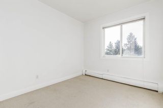 Photo 24: 401C 4455 Greenview Drive NE in Calgary: Greenview Apartment for sale : MLS®# A1052674