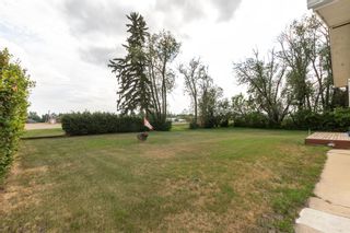 Photo 38: 4202 52 Avenue in Stettler: Stettler Town Detached for sale : MLS®# A1132298