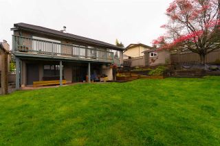 Photo 19: 1942 WILTSHIRE AVENUE in Coquitlam: Cape Horn House for sale : MLS®# R2262319