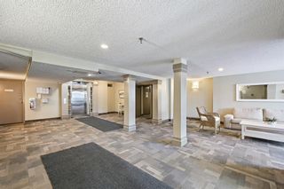 Photo 25: 202 647 1 Avenue NE in Calgary: Bridgeland/Riverside Apartment for sale : MLS®# A1193221
