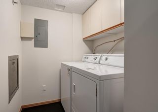 Photo 21: 702B 500 Eau Claire Avenue SW in Calgary: Eau Claire Apartment for sale : MLS®# A1243685