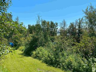 Photo 4: 26227 MEADOWVIEW Drive: Rural Sturgeon County Vacant Lot/Land for sale : MLS®# E4340363