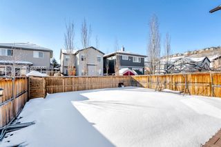 Photo 33: 78 Chaparral Valley Place SE in Calgary: Chaparral Detached for sale : MLS®# A2032942